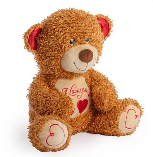 TEDDY - Nugget I Love You Bear Large